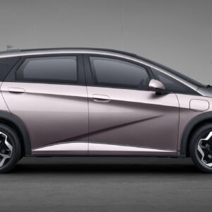 Китайский электромобиль BYD DOLPHIN Free version 2022 года выпуска